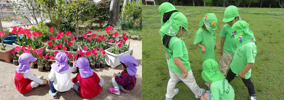 チューリップの前に座る子どもたちと芝生で遊ぶ子どもたち